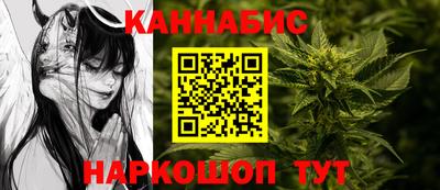 индика Заволжье