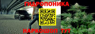 эйфоретик Заводоуковск