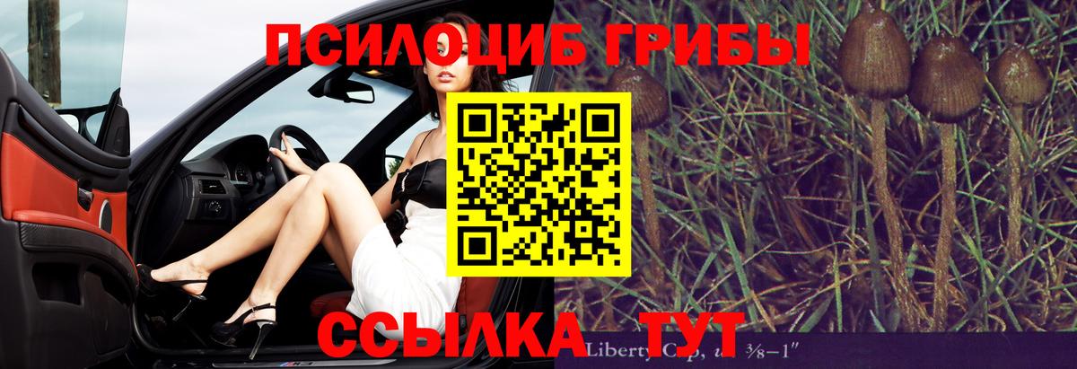 Галлюциногенные грибы мицелий  Вход с VPN  продажа наркотиков  Красный Сулин 